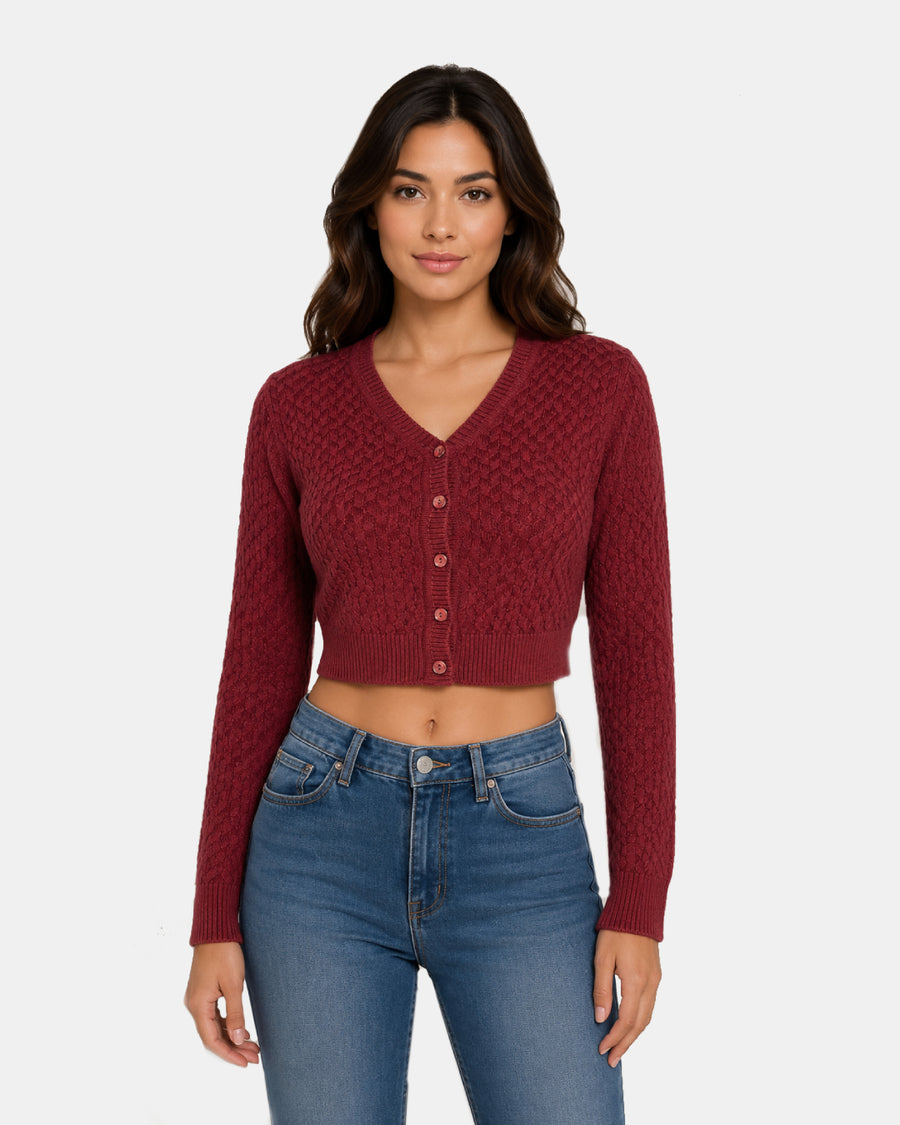 Women Woolen V Neck Knitted Crop Top
